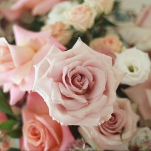 Meet your Posher, Hailey